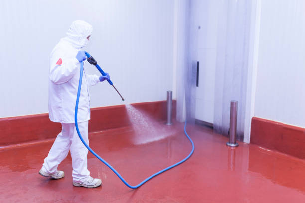 Best Graffiti Removal Services in Sparta, NC