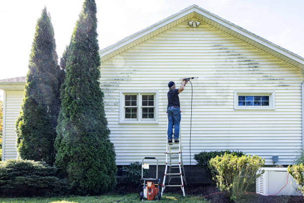 Best Concrete Surface Cleaning in Sparta, NC